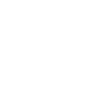 Ikona